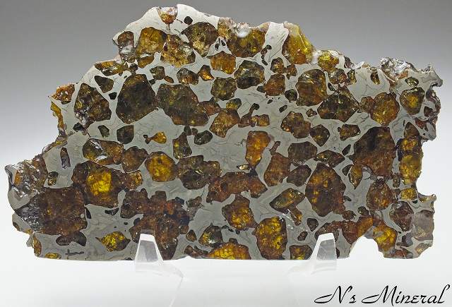 Imilac (Pallasite)